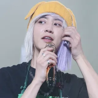 🐻 personne, chanteur, microphone, scène, célébrité telegram sticker