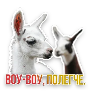 😎 ВОУ-ВОУ, ПОЛЕГЧЕ. llama, funny, meme, animal, text, russian, slang telegram sticker