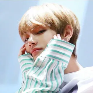 🍀 V 韩流, 防弹少年团, 歌手, 音乐, 名人, 偶像 telegram sticker