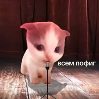 Больше стиков тут: @stikery4 telegram stickers