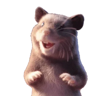 😬 Hamster, Tier, Nagetier, süß, Haustier, lächelnd, fröhlich telegram sticker