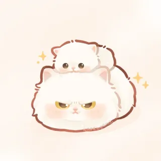 ✨ gato, gatinho, fofo, fofo, gato zangado, animal de estimação telegram sticker