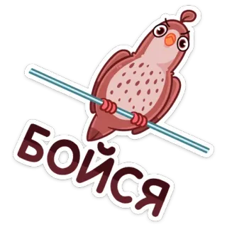 😦 бойся bird, animal, sticker, angry, cartoon, russian, phrase telegram sticker