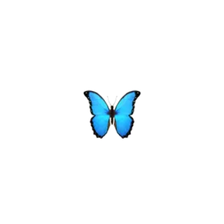 🦋 blu, farfalla, natura, insetto, ali telegram sticker