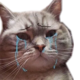 😿 kucing, sedih, menangis, emosional, air mata, stiker telegram sticker