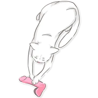 Кот Шикааарный telegram stickers