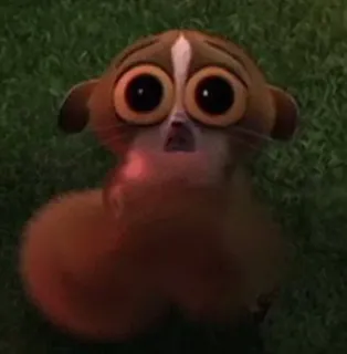 😳 Mort Madagascar Lemur, süß, Tier, Cartoon, Augen telegram sticker
