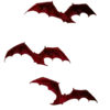 🦇