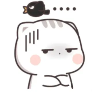🍃 cat, angry, bird, cute, cartoon telegram sticker