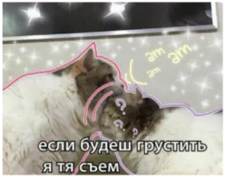 😫 если будешь грустить я тя съем кошки, милые, смешные, русский, питомец, животные telegram sticker