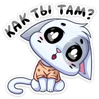 🫠 КАК ТЫ ТАМ? cat, cute, sticker, animal, question, russian telegram sticker