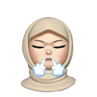 💿 telegram sticker