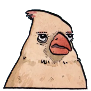 😒 bird, animal, cartoon, expression telegram sticker