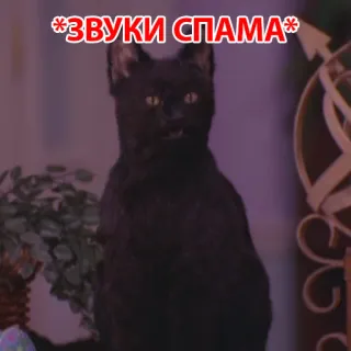 😄 *ЗВУКИ СПАМА* 猫, 黒猫, スパム, サウンド, 動物 telegram sticker