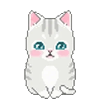 🐈