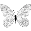 🦋