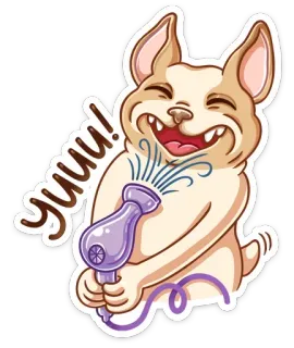 😃 yuuu! собака, смешной, фен, груминг, животное, милый, питомец telegram sticker