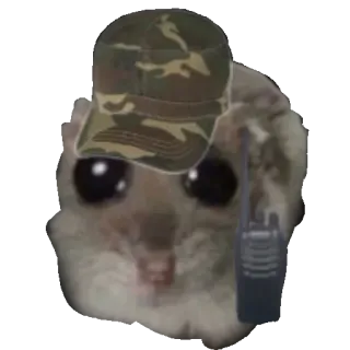 Грустный хомяк • @TgSticker telegram stickers