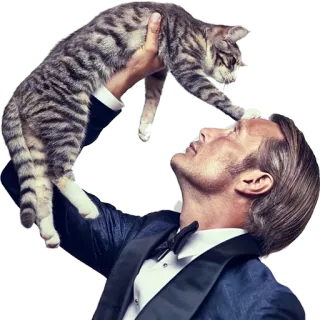 😻 gato, hombre, esmoquin, animal, retrato, celebridad telegram sticker