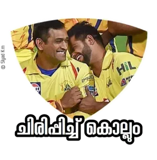 ☺️ ചിരിപ്പിച്ച് கொல்லும் cricket, sport, squadra, celebrazione, cricket indiano telegram sticker