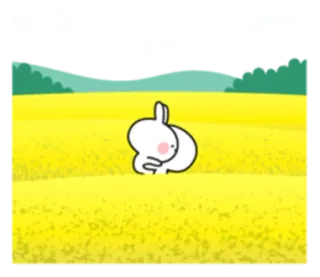 💕 lapin, champ, mignon, animal, dessin animé telegram sticker