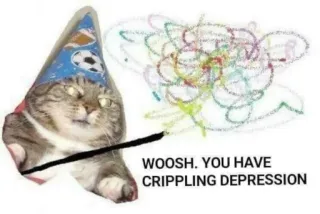 😢 WOOSH. YOU HAVE CRIPPLING DEPRESSION кот, мем, волшебник, депрессия, юмор telegram sticker