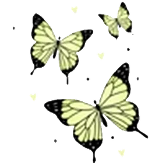 🦋