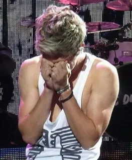 😞 Niall Horan músico, hombre, cantante, emocional telegram sticker