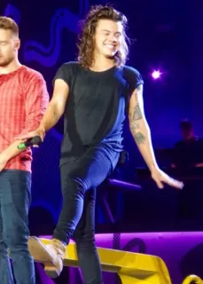 👧 Harry Styles Harry Styles, singer, celebrity, music, concert, performer telegram sticker