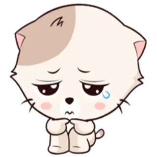 🙁 chat, triste, mignon, dessin animé, kawaii, chaton, larmoyant telegram sticker