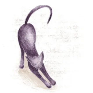 🦎 cat, stretching, animal, pet, feline, purple, drawing, illustration whatsapp sticker