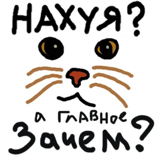 😳 НАХУЯ?
А ГЛАВНОЕ ЗАЧЕМ? кот, обидный, вопрос, грубый, русский telegram sticker