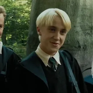 🐍 Draco Malfoy Harry Potter draco malfoy, harry potter, slytherin, mago, magia, adolescente whatsapp sticker