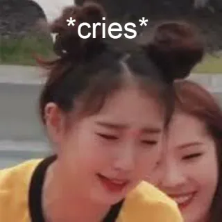 😭 *cries* pleurer, triste, mème, émotionnel, expression, coréen telegram sticker