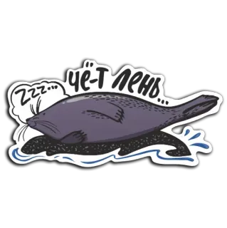 🥰 Чё-ТЛЕНЬ... seal, sleeping, lazy, animal, cute, cartoon whatsapp sticker