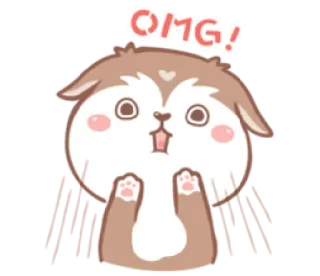 😱 OMG! cane, cucciolo, carino, omg, espressione, esclamazione, sorpresa telegram sticker