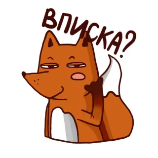 Drunken fox @stickersb2b telegram stickers