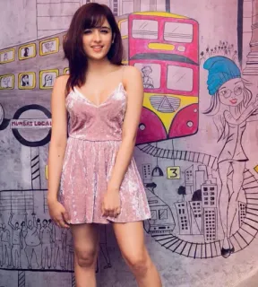 ❤️ MUMBAI LOCAL woman, pink dress, mumbai local, bus, cartoon, city, Indian telegram sticker