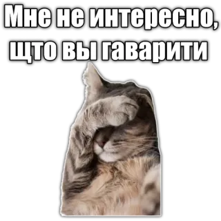 🤦 Мне не интересно, что вы гаварити cat, disinterested, funny, meme, russian, text telegram sticker