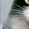 😃