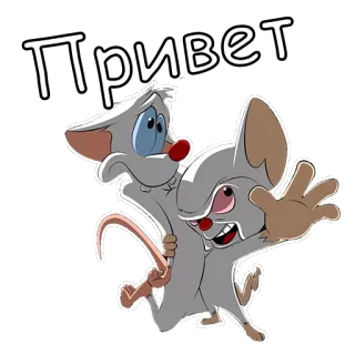 ✋ Привет muis, cartoon, russisch, groet, hallo telegram sticker