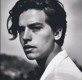 😑 Cole Sprouse Cole Sprouse, aktor, portret, czarno-białe, mężczyzna, celebryta telegram sticker