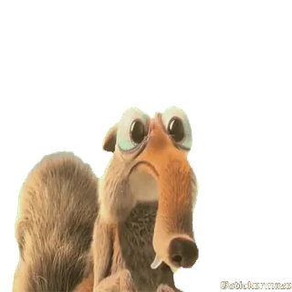 @stickermaze | MEMEsTransparent. whatsapp stickers