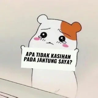 💋 APA TIDAK KASIHAN PADA JANTUNG SAYA? hamster, huilen, verdrietig, schattig, cartoon telegram sticker