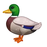 🦆