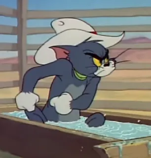 😠 Tom Cat Tom and Jerry мультфильм, кот, злой, вестерн, вода whatsapp sticker