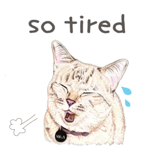 😟 Nala 고양이, 동물, 애완동물, 귀여운, 날라, 스티커, 반려동물, 고양이과 telegram sticker