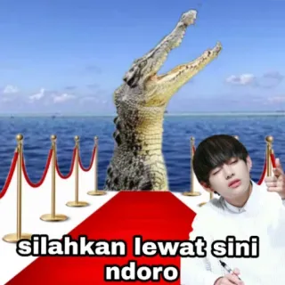 🏁 silahkan lewat sini ndoro Krokodil, roter Teppich, K-Pop, Meme, lustig, Unterhaltung telegram sticker