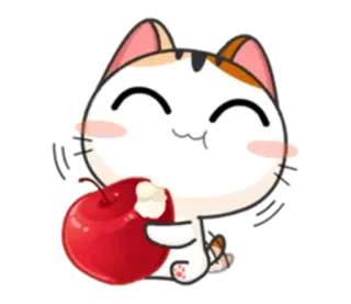 🍎 chat, pomme, mignon, dessin animé, kawaii, animal whatsapp sticker