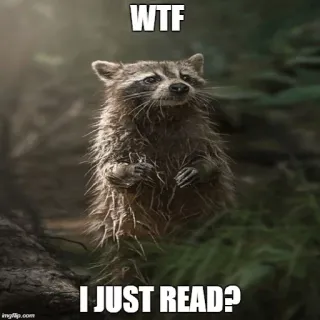 😳 WTF
I JUST READ? mapache, meme, gracioso, wtf, animal whatsapp sticker